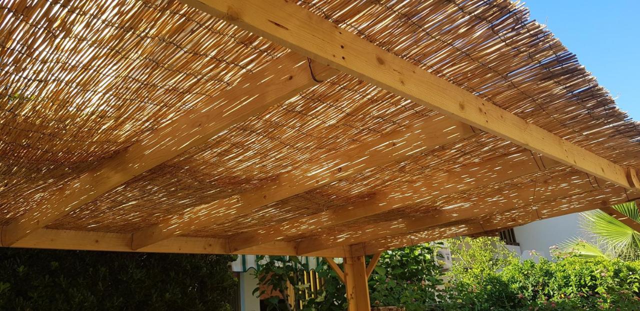 Appartamento Con Giardino Sul Mare غالّيبولي المظهر الخارجي الصورة
